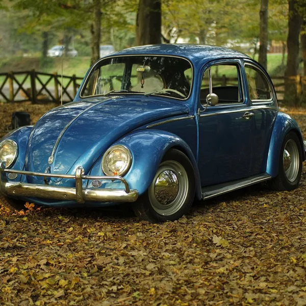 Volkswagen 58 1980 1000000